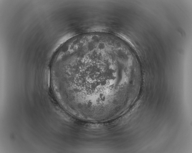 X0000113311219200910051056