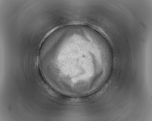 X0000113311220200910051056