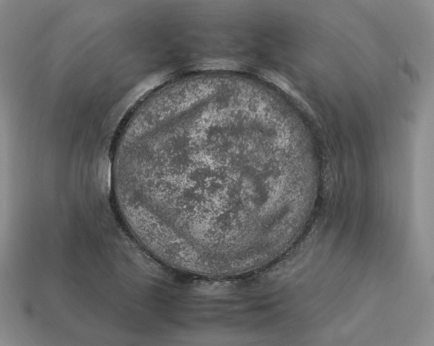 X0000113311221200910051056