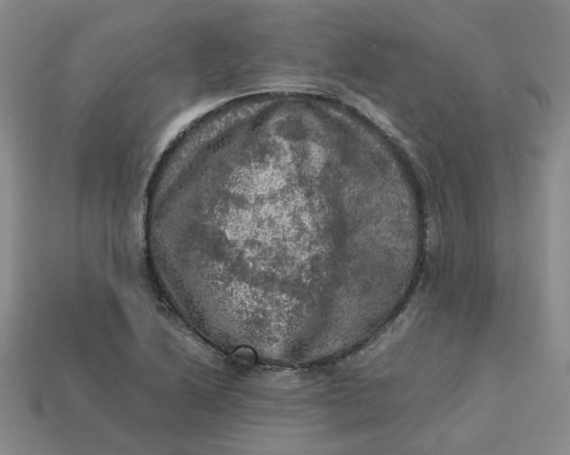 X0000113311222200910051056