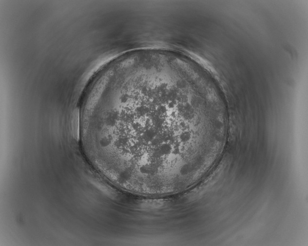 X0000113311223200910051056