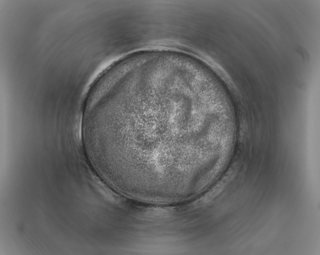 X0000113311224200910051056