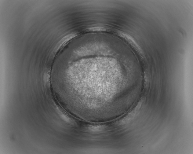 X0000113311225200910051056