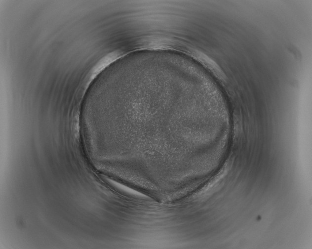 X0000113311226200910051056