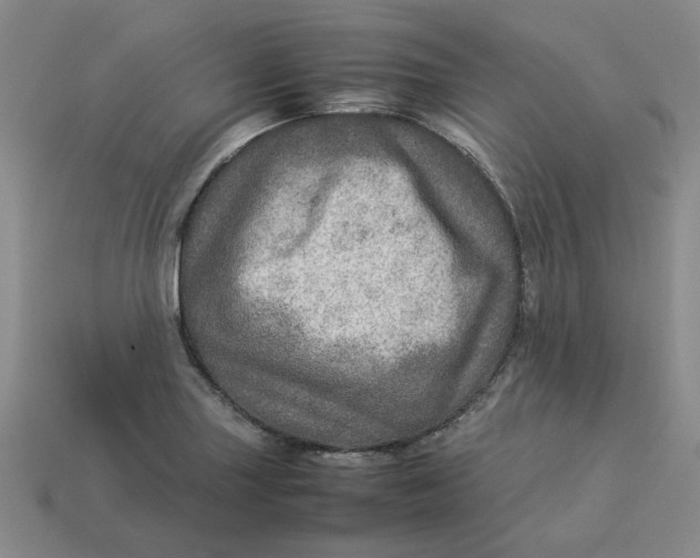 X0000113311227200910051056