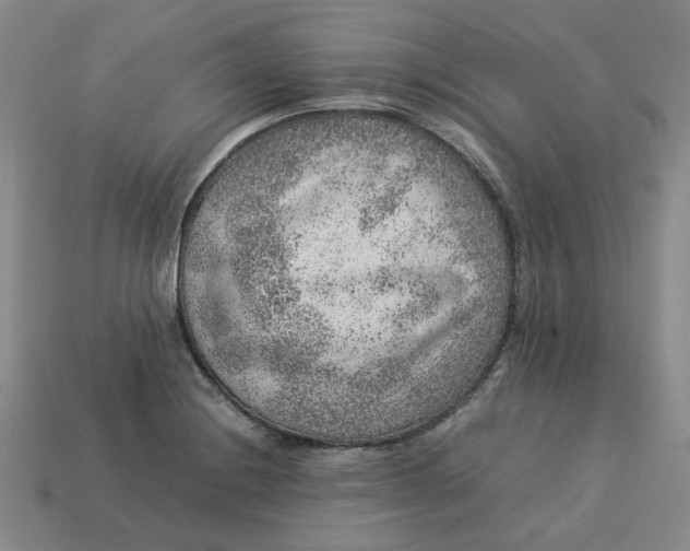 X0000113311228200910051056