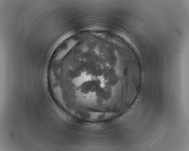 X0000113311229200910051056