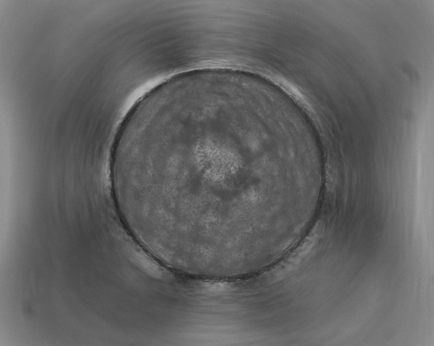 X0000113311230200910051056