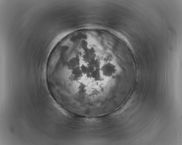 X0000113311231200910051056