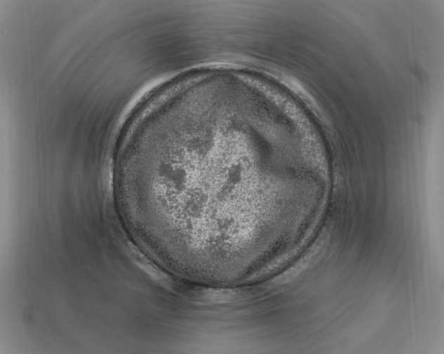 X0000113311232200910051056