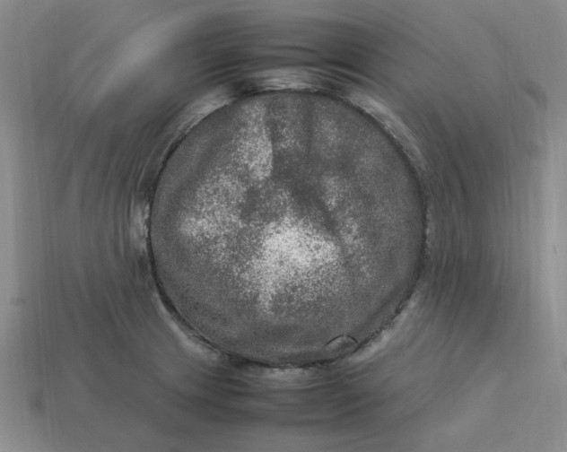 X0000113311233200910051056