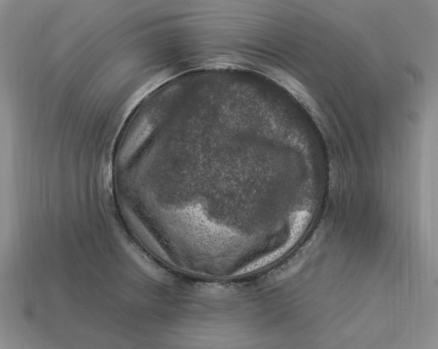 X0000113311234200910051057