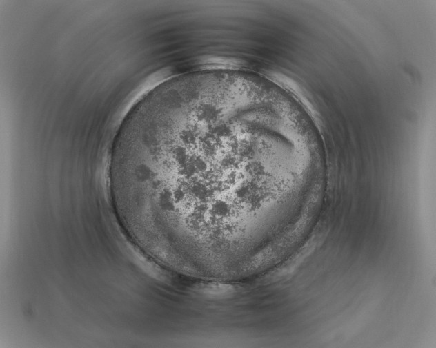 X0000113311235200910051057