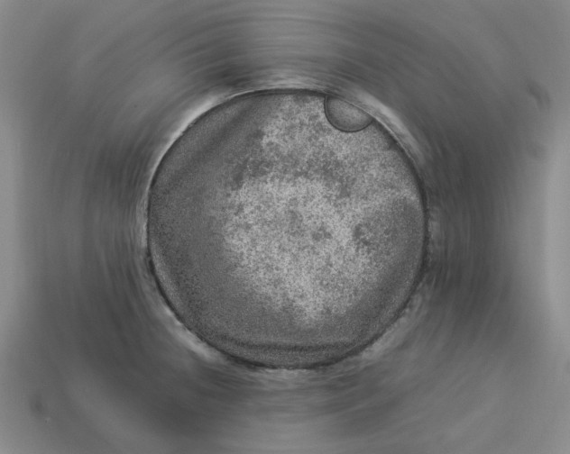 X0000113311236200910051057