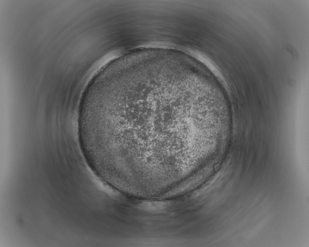 X0000113311237200910051057