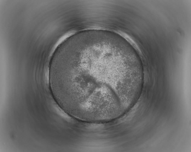 X0000113311238200910051057