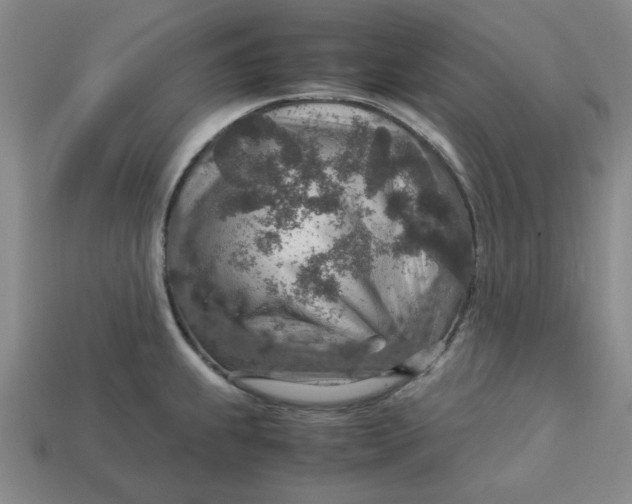 X0000113311239200910051057