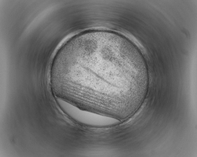 X0000113311240200910051057