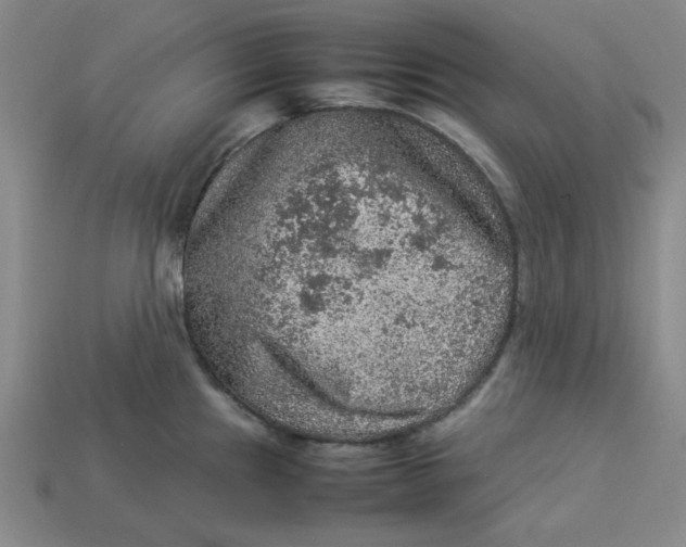 X0000113311241200910051057