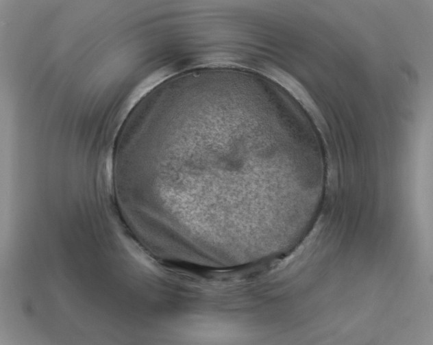 X0000113311242200910051057