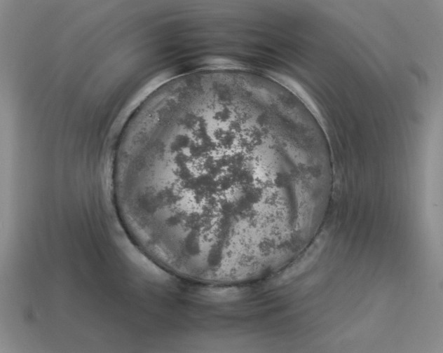 X0000113311243200910051057