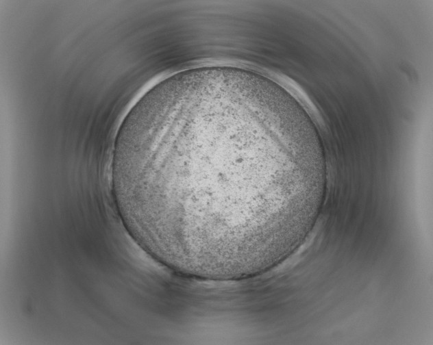 X0000113311244200910051057