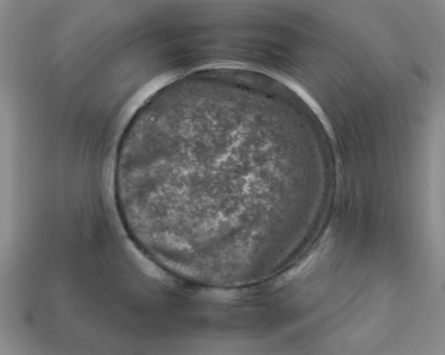 X0000113311245200910051057