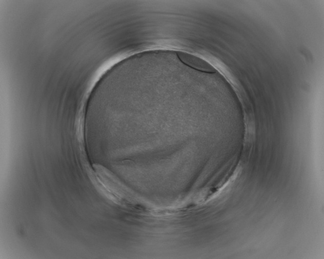 X0000113311246200910051057