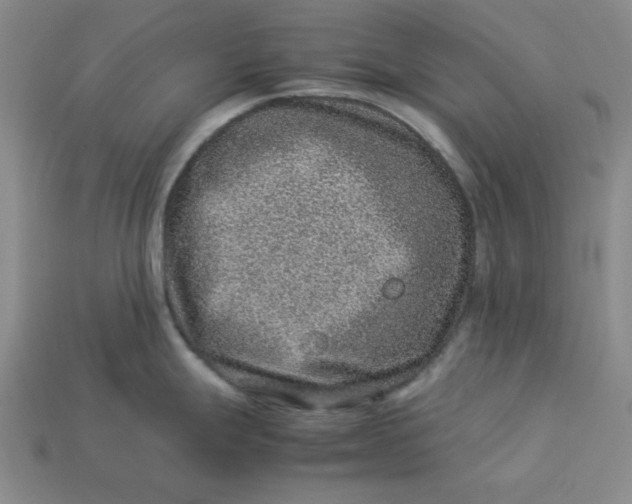 X0000113311247200910051057