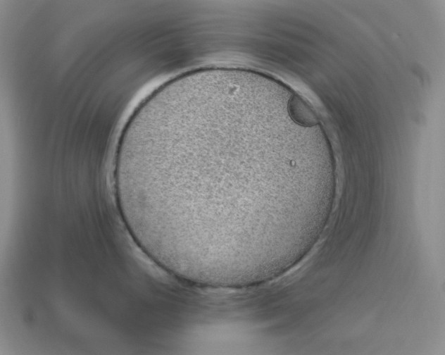 X0000113311248200910051057