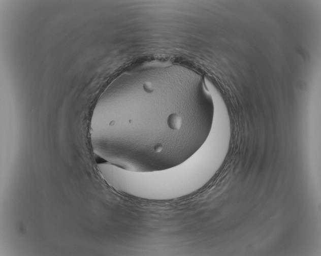 X0000113311249200910051056