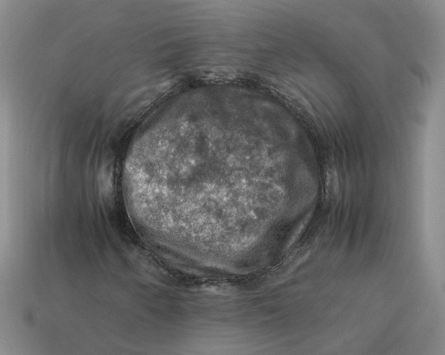 X0000113311250200910051056