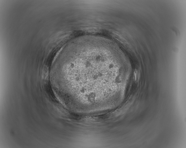 X0000113311251200910051056