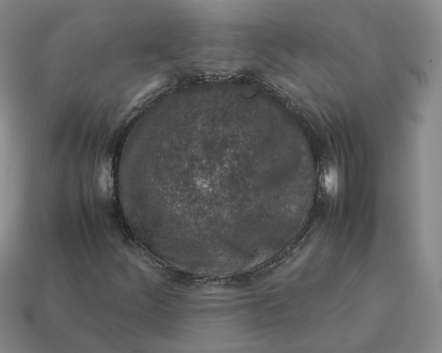 X0000113311252200910051056