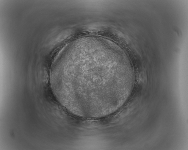 X0000113311253200910051056