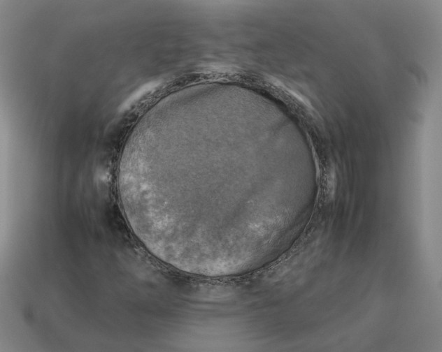 X0000113311254200910051056