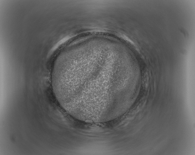 X0000113311255200910051056