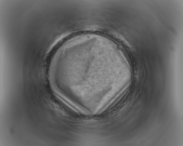 X0000113311256200910051056