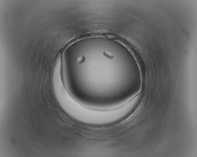 X0000113311257200910051056