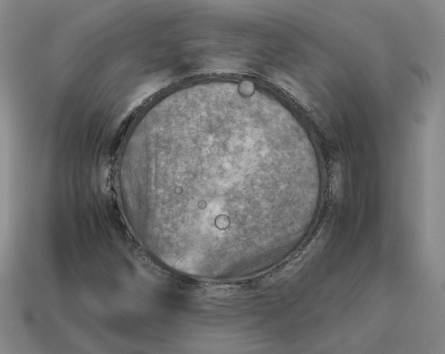 X0000113311258200910051056