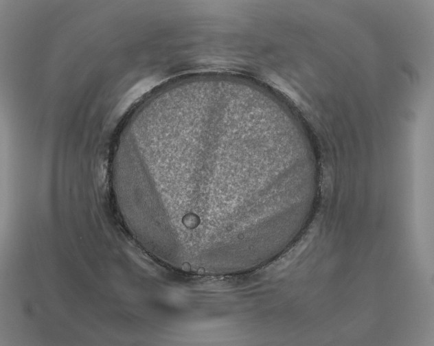 X0000113311259200910051056