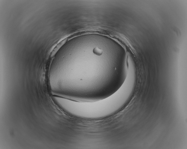 X0000113311260200910051056