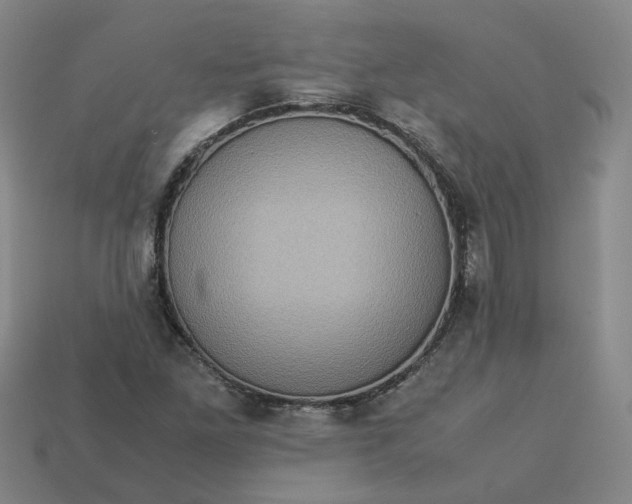 X0000113311261200910051056