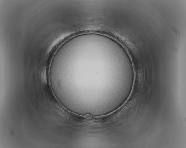 X0000113311262200910051056