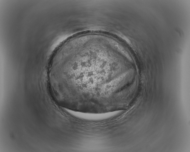 X0000113311263200910051056