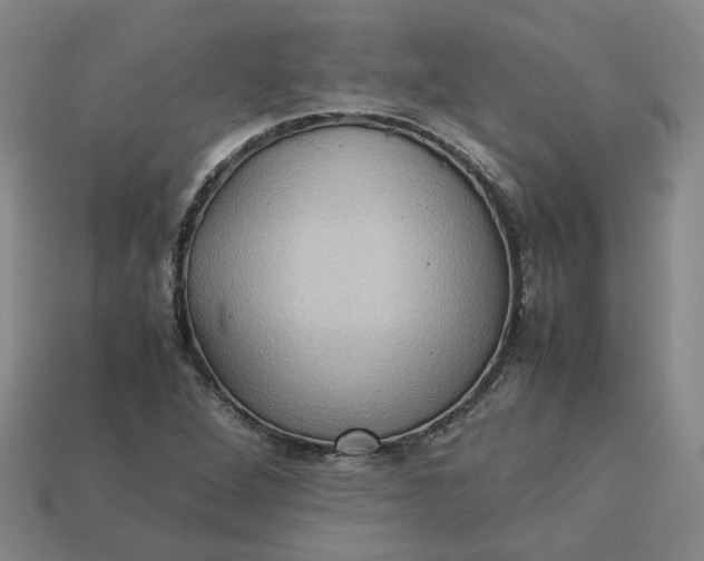 X0000113311264200910051056