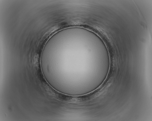 X0000113311265200910051056