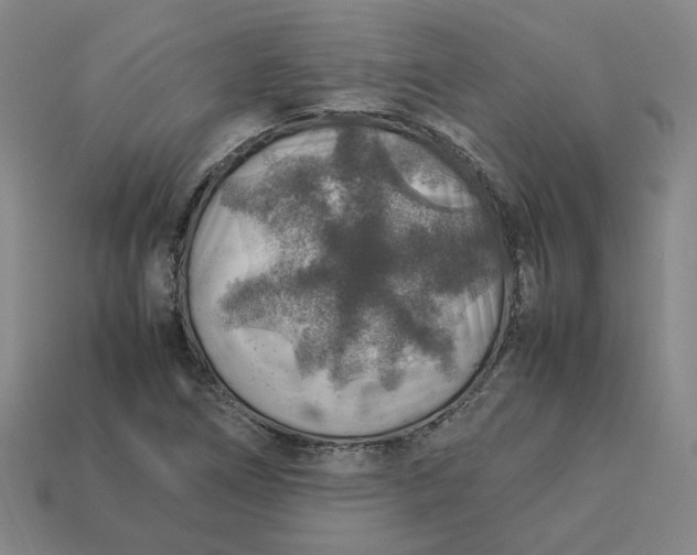 X0000113311266200910051056