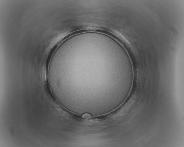 X0000113311269200910051056