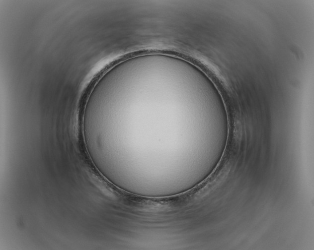 X0000113311270200910051056